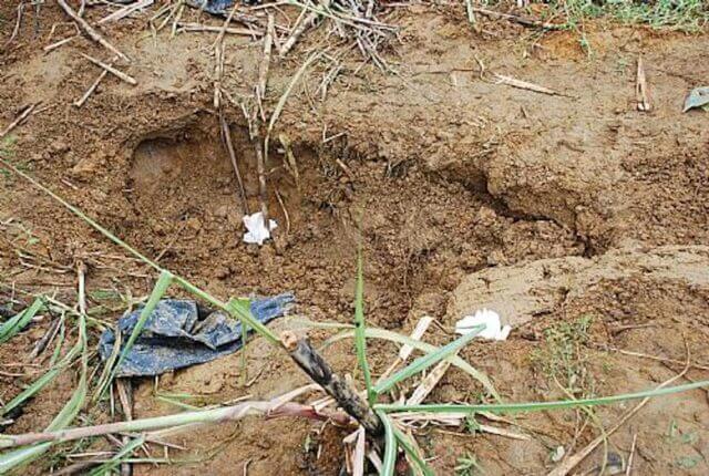 Cidadão enterrado vivo em retaliação a ação criminosa em Barama