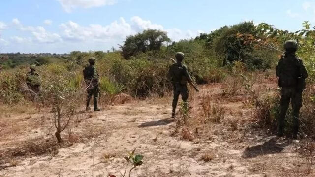 Dois moçambicanos acusados de financiar o terrorismo em Cabo Delgado