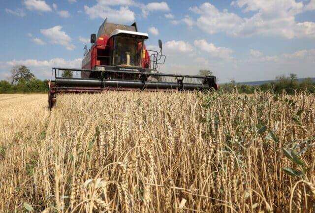 Produção de trigo inicia-se no regadio do Baixo Limpopo
