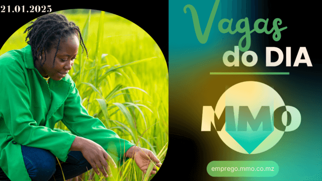 Vaga 21.01.2025