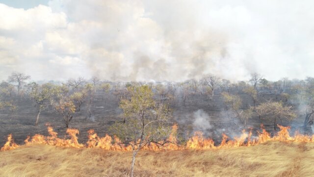 Incêndio causado por queimadas descontroladas provoca explosões em antigo paiol militar em Sofala