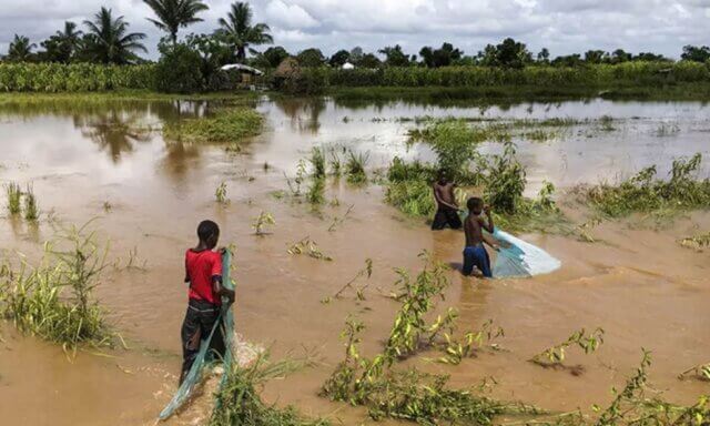 Inundações em Chibuto deixam mais de 18 hectares de culturas afectados