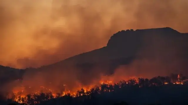 Japão regista o maior incêndio florestal em trinta anos