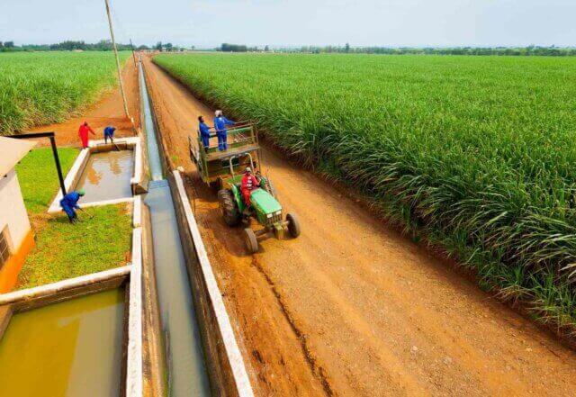 Obras de reabilitação do dique condicionam reabertura da açucareira de Maragra