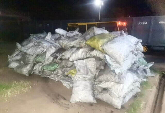 Moçambique apreende 204 sacos de carvão vegetal em operação contra exploração ilegal