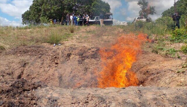 SERNIC incinera mais de 28 quilos de droga em Chimoio