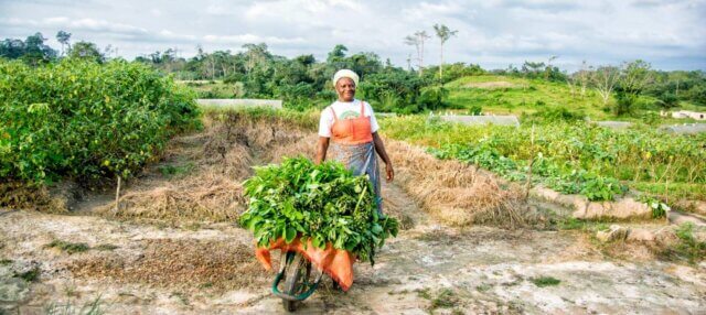 Moçambique avança com projecto de mapeamento de solos para reforçar agricultura sustentável