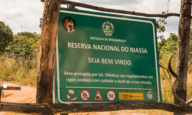 Niassa Lion Project retoma operações após ataque terrorista