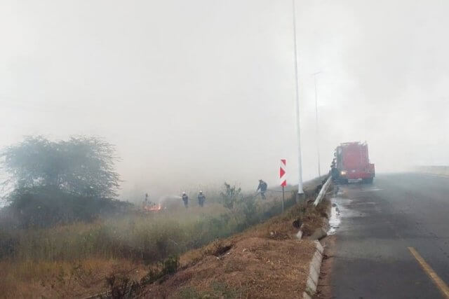 Incêndio devasta extensa área de mata em KaTembe