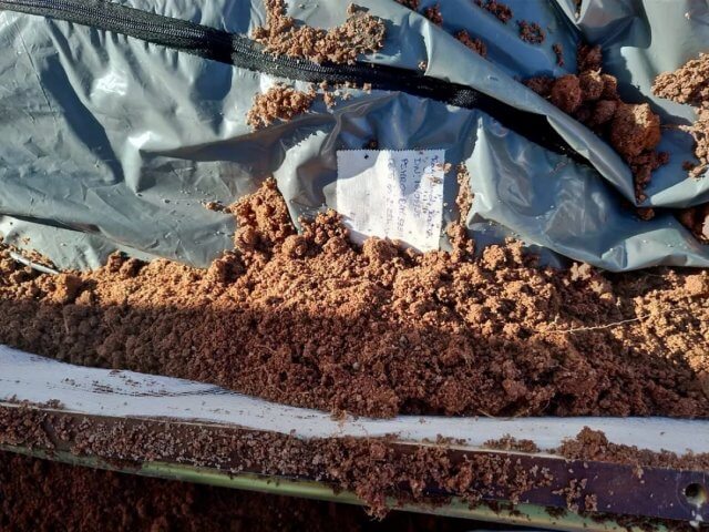 Autoridades exumam corpo de anciã enterrada viva pelos filhos em Zavala