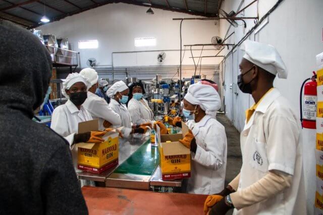 Matola-Rio bane produção e venda de 'Xivotchongo'
