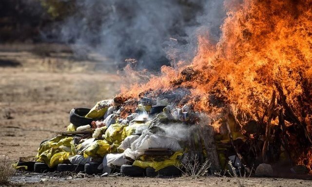Autoridades sul-africanas eliminam toneladas de drogas e fármacos não autorizados