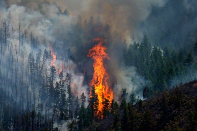 Incêndios na costa oeste dos EUA ameaçam milhares de residências