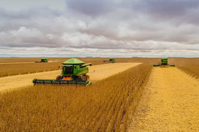 BAD aprova 22,8 milhões de dólares para fortalecer produção de arroz em Moçambique