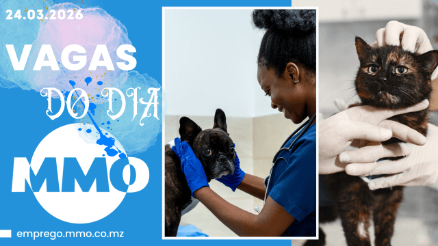 Vaga 24.03.2026