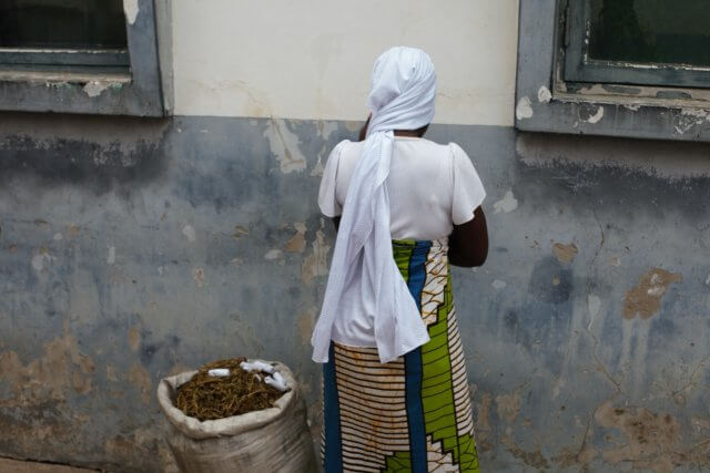 Detida mulher em Nampula com mais de 10 kg de suruma