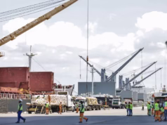 Exportações de madeira de Moçambique disparam 300% no primeiro semestre