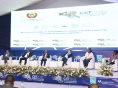 EDM planeia expansão da rede eléctrica para impulsionar investimentos em Tete