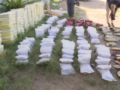 Força-tarefa em Nampula combate tráfico de drogas em resposta a aumento de crimes