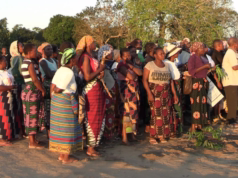 Limpopo: População denuncia alegada usurpação de 511 hectares pelo Governo distrital