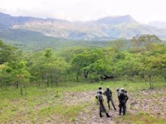Manica enfrenta devastação florestal com queimadas descontroladas