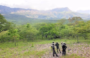 Manica enfrenta devastação florestal com queimadas descontroladas